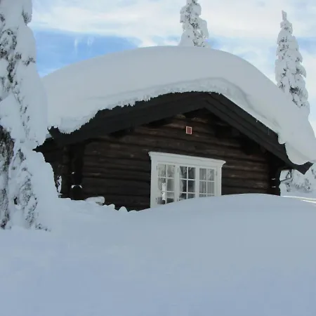 Koselig Familiehytte Sentralt Pa Skeikampen Til Leie Domek letniskowy
